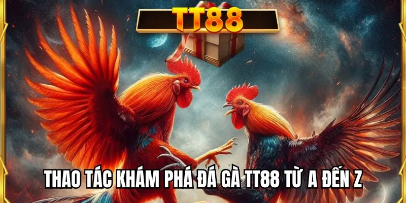 Thao tác khám phá đá gà TT88 từ A đến Z
